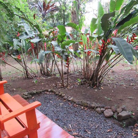 Finca Verde Lodge Bijagua Extérieur photo